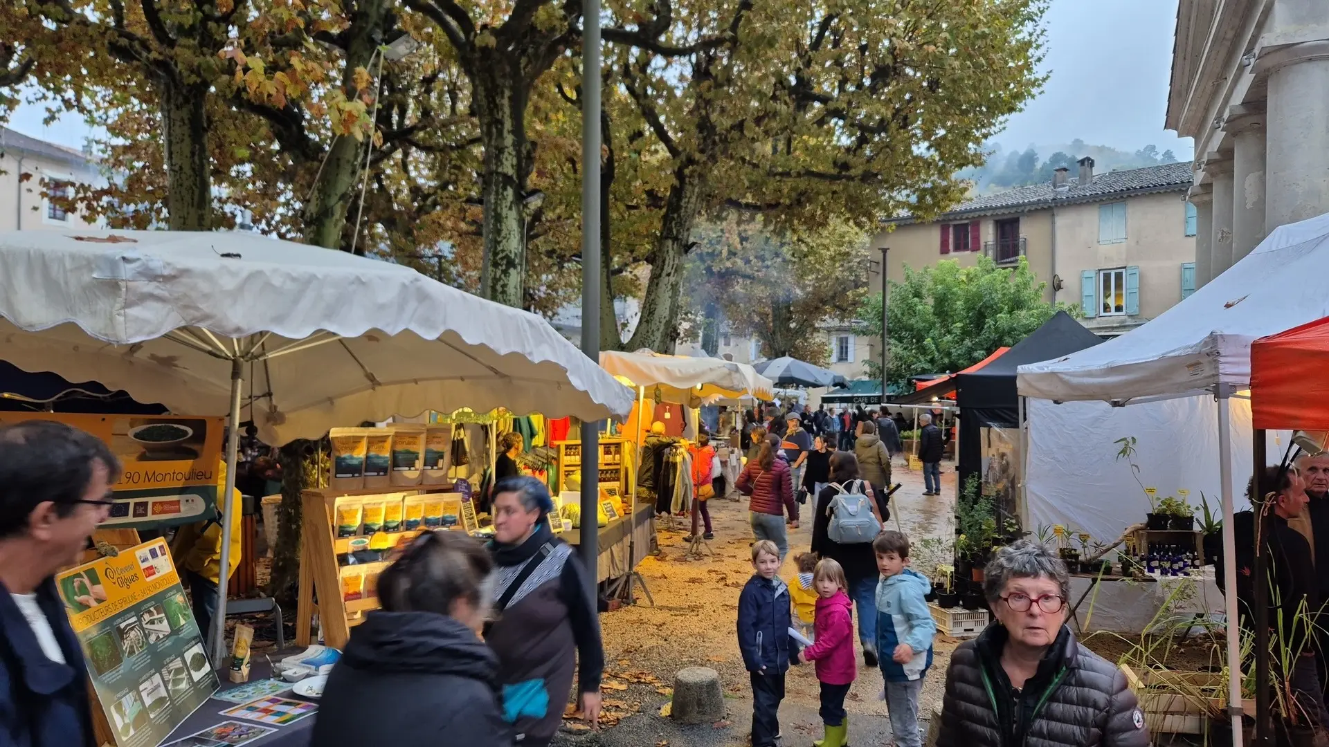 Fête de la Châtaigne