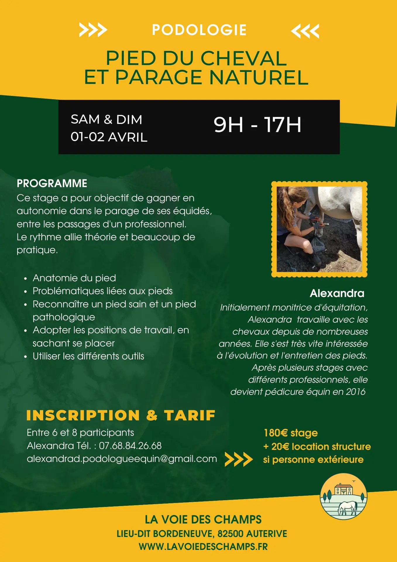 stage pied du cheval