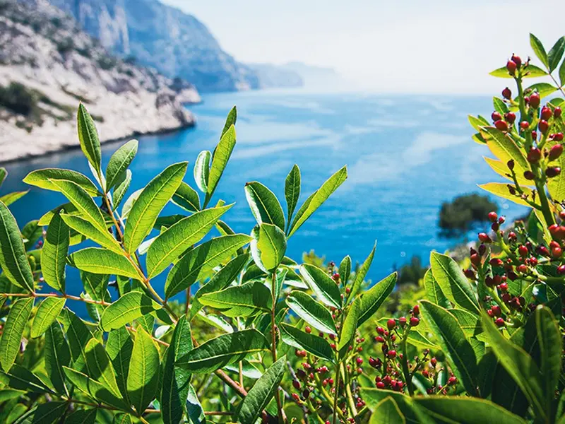 Fête de la Nature 2024