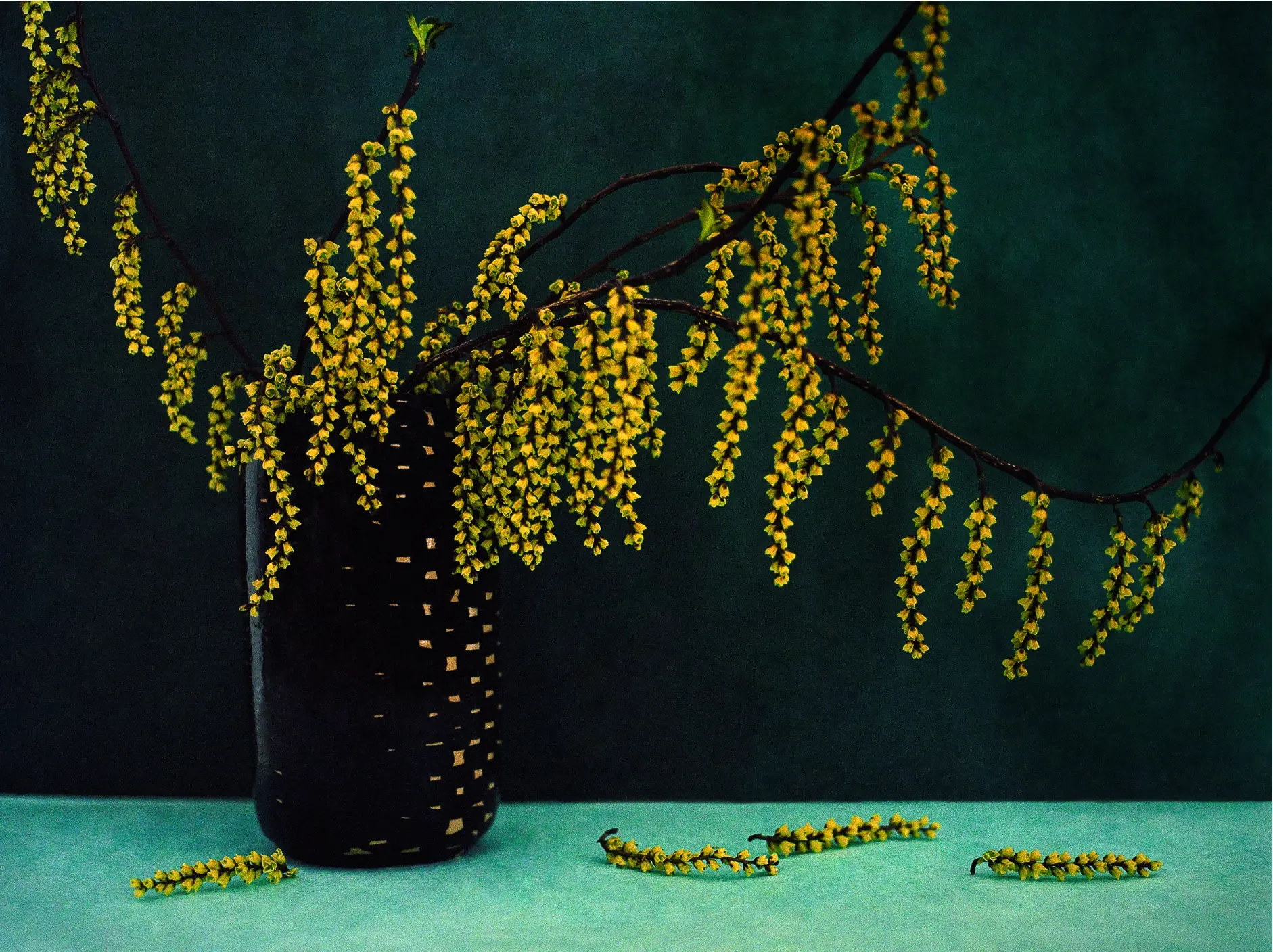 Exposition ENDLESS WINTER_Saint-Paul-de-Vence