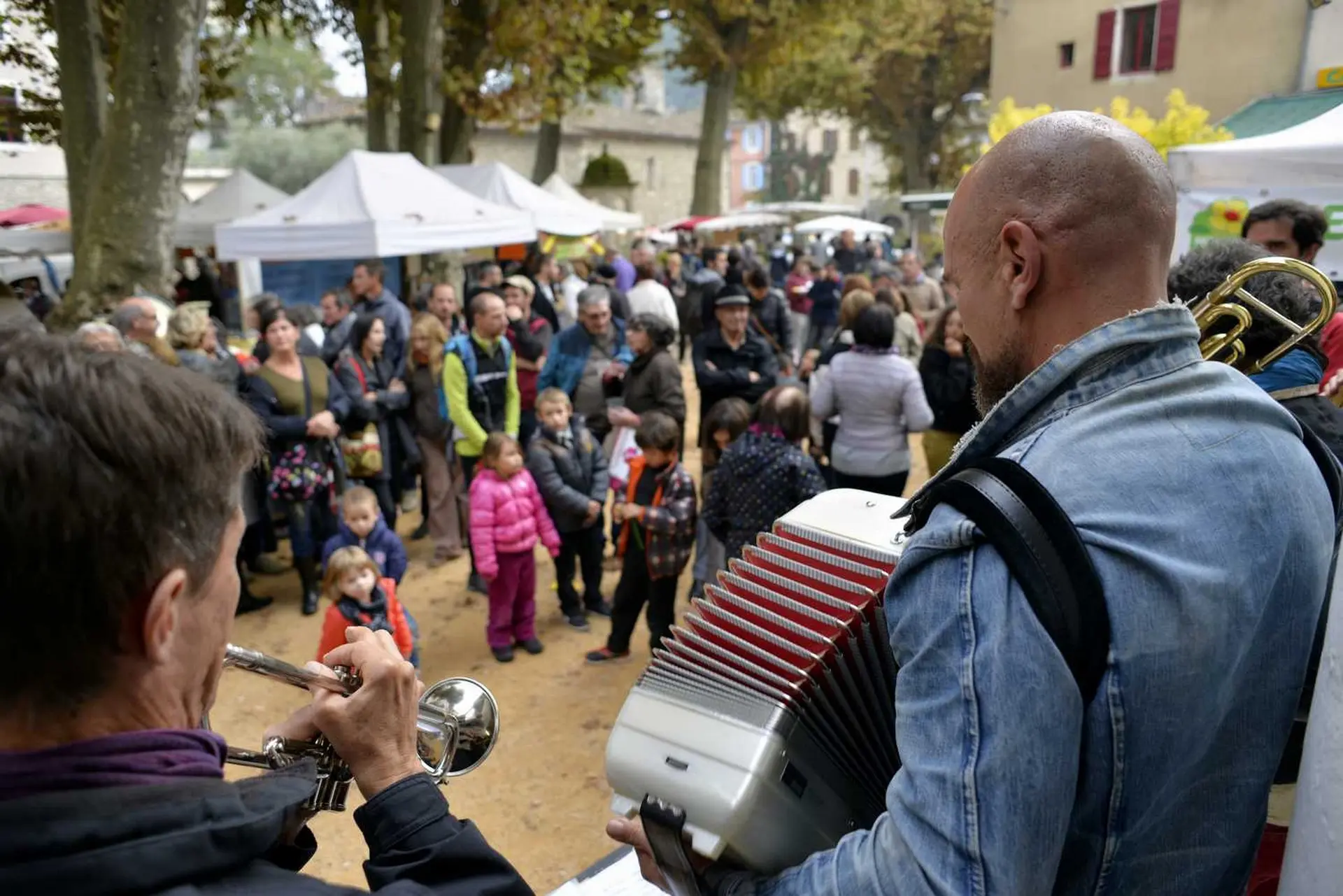 Fête de la Châtaigne