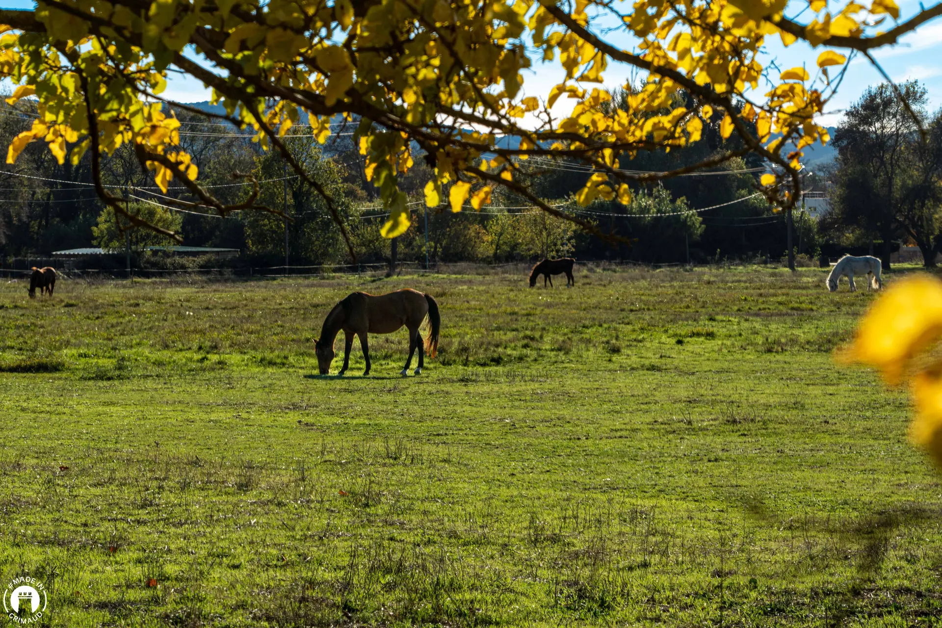 Sentier de la Castellane