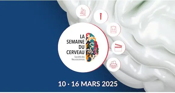 La Semaine du Cerveau 2025