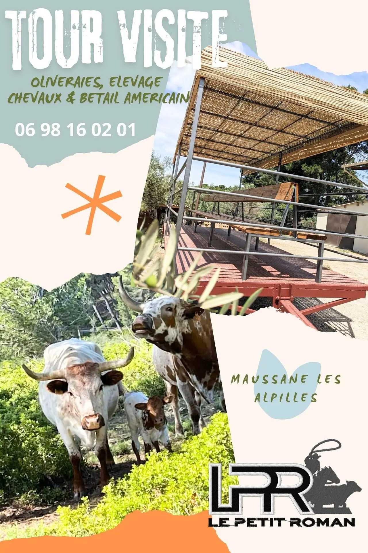 Visite en wagon tracté au Petit Roman_Maussane-les-Alpilles