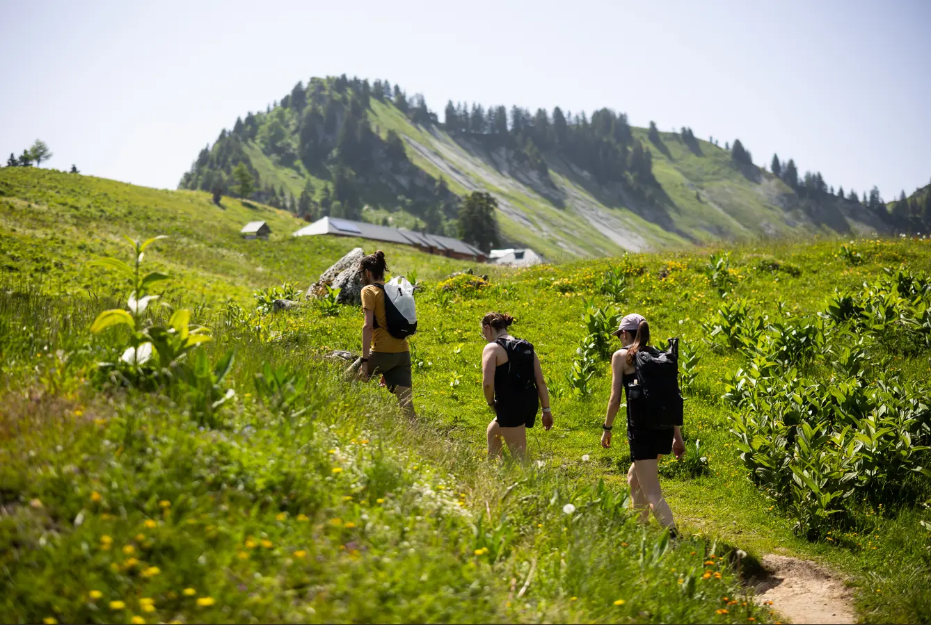 Projection d'un film autour du pastoralisme_Faverges-Seythenex