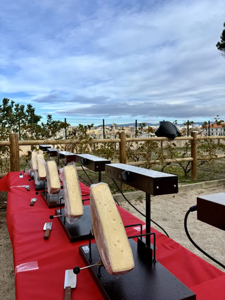 appareils à raclette avec fromage