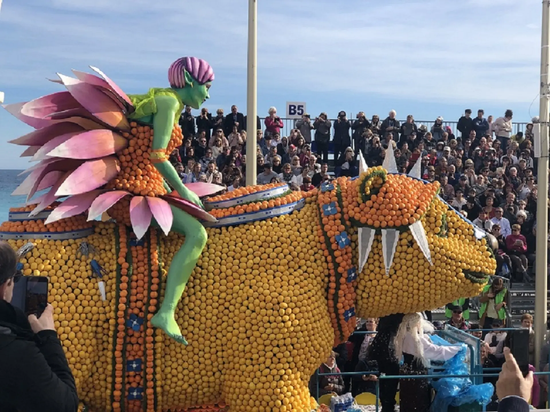Corso des fruits d'or