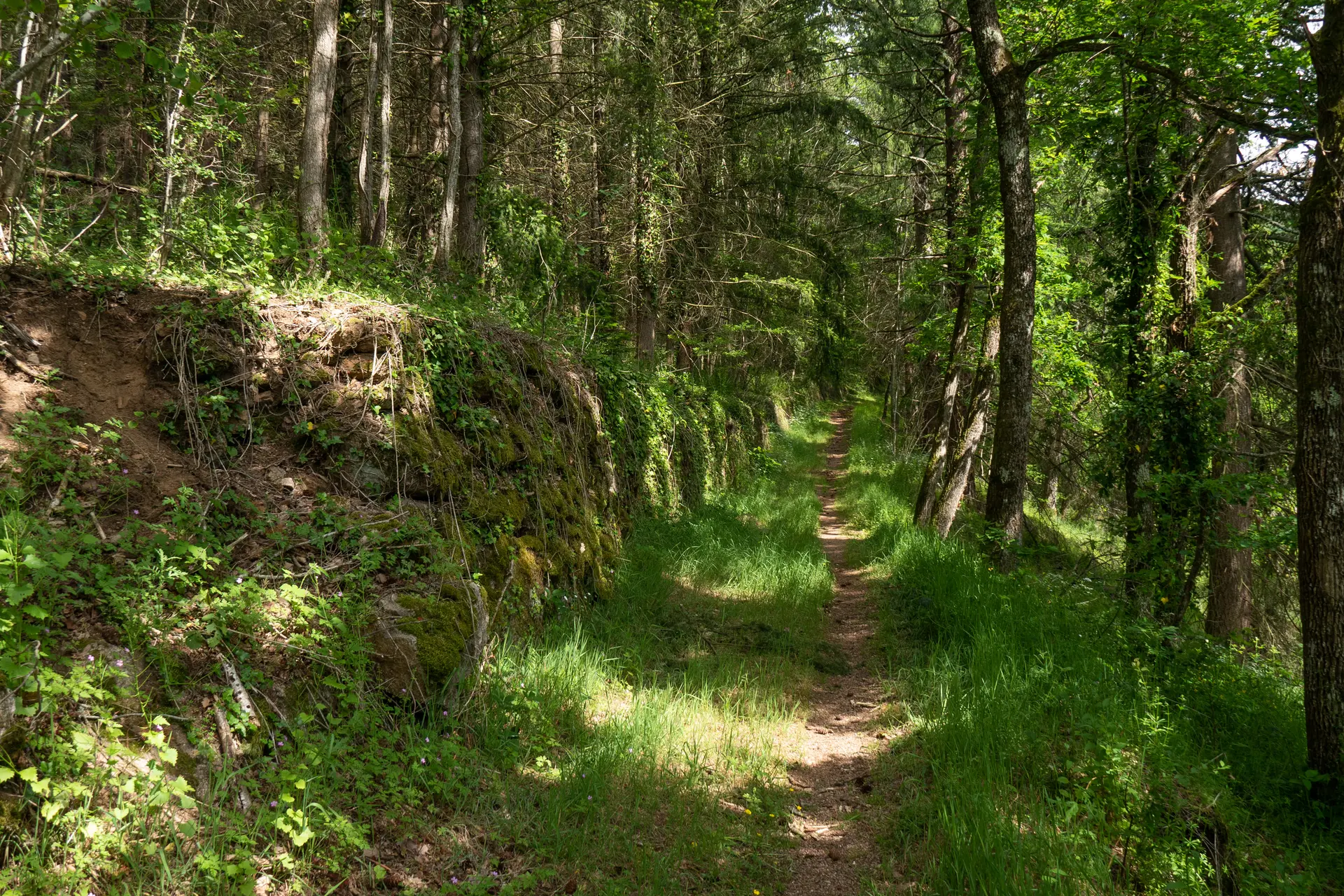 Sentier