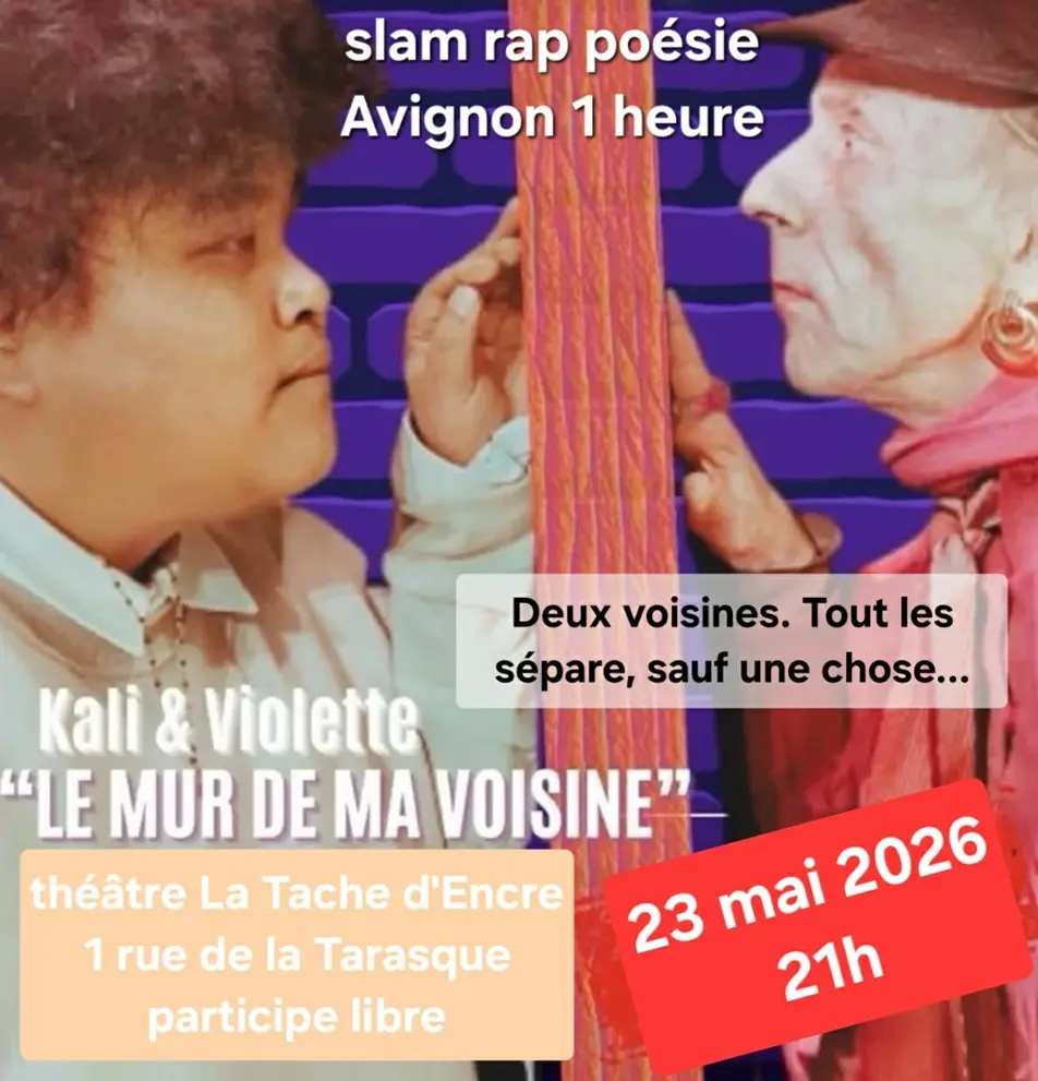 Le mur de ma voisine_Avignon