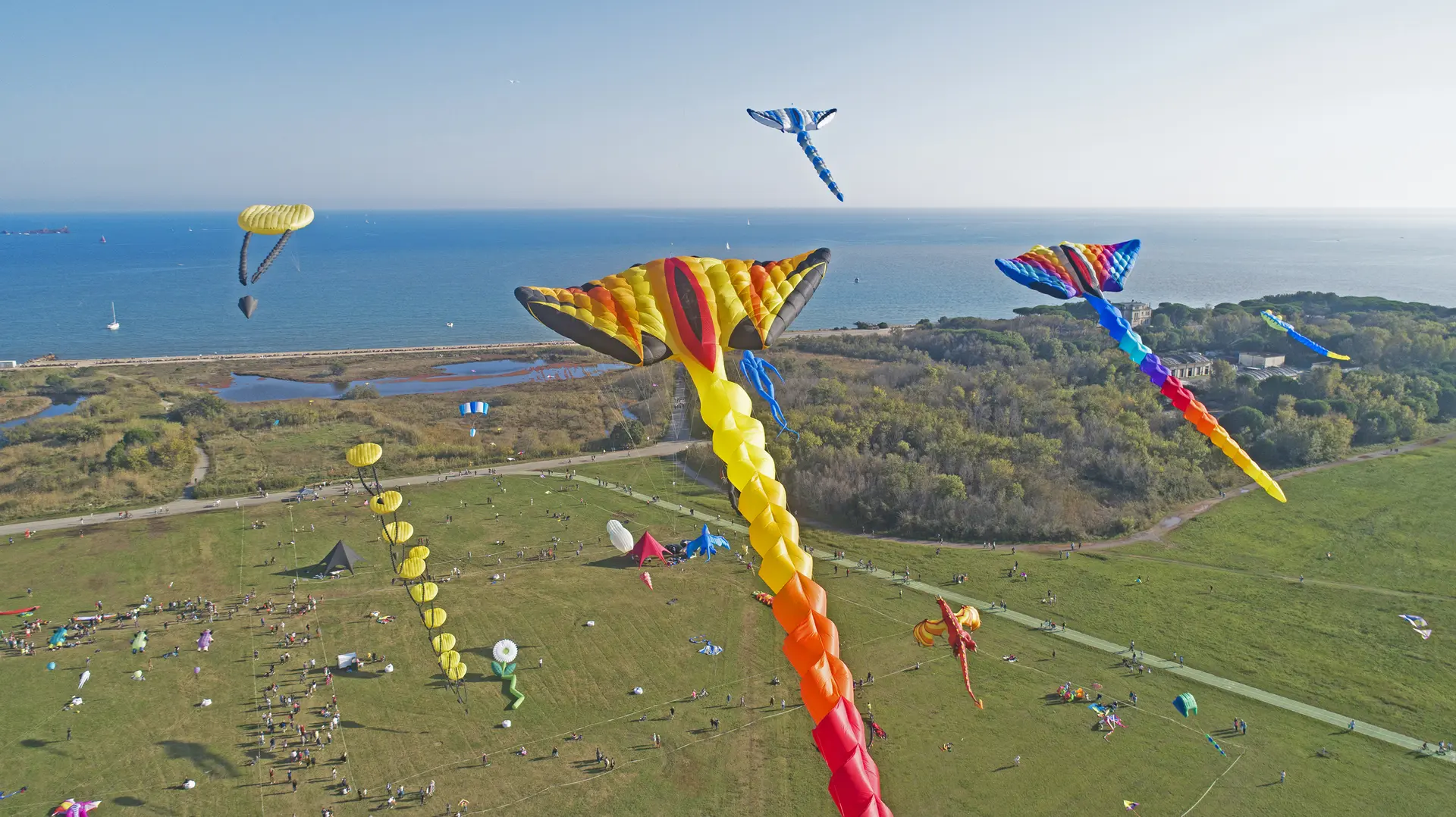 festival international de l'air