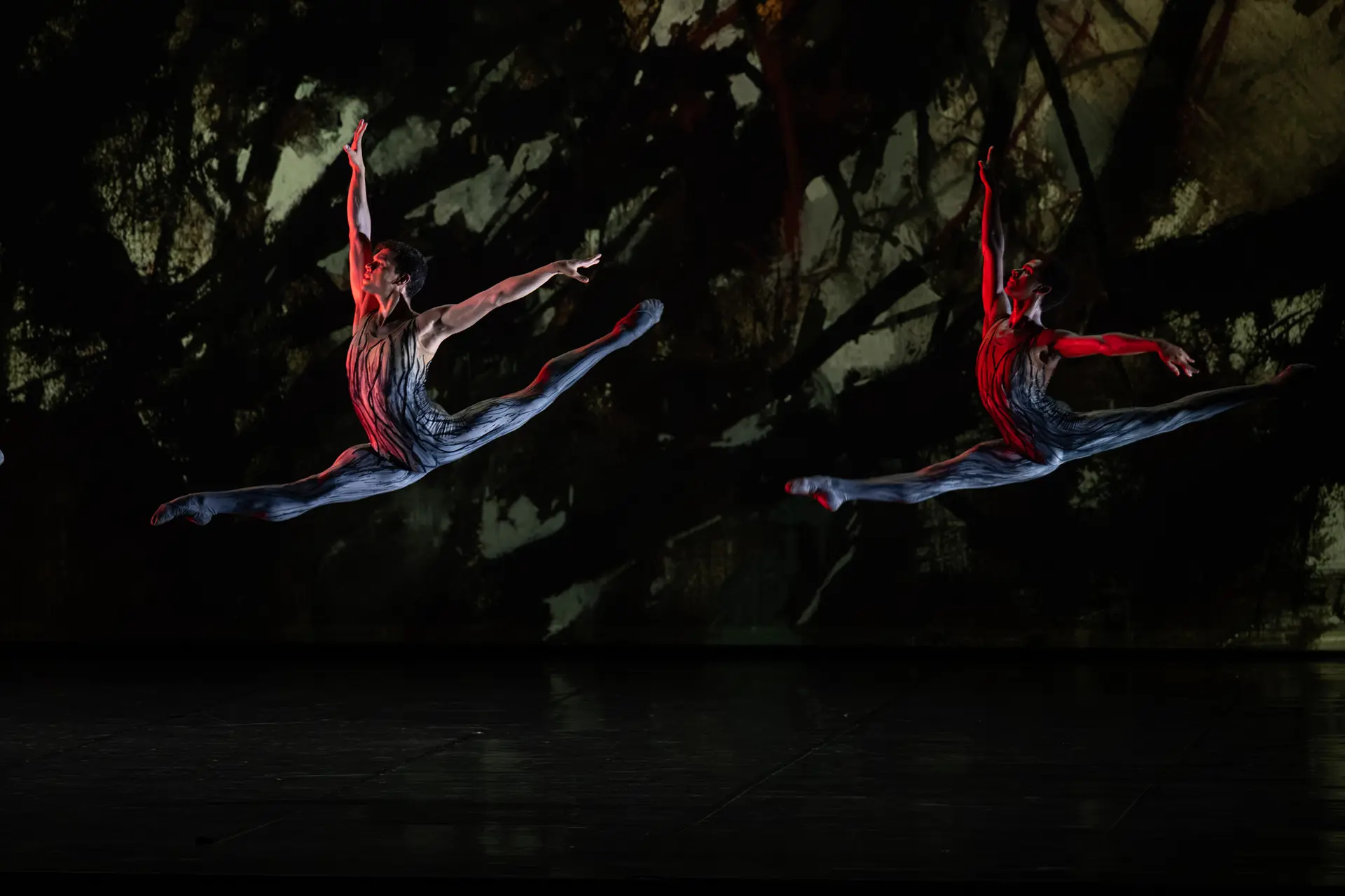 London City Ballet & L'Orchestre national de Cannes_Cannes