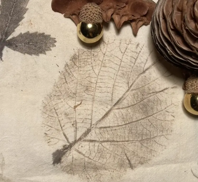 Atelier Tataki Zomé · Impressions végétales japonaises_Avignon