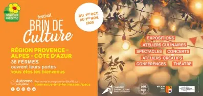 Festival Brin de Culture