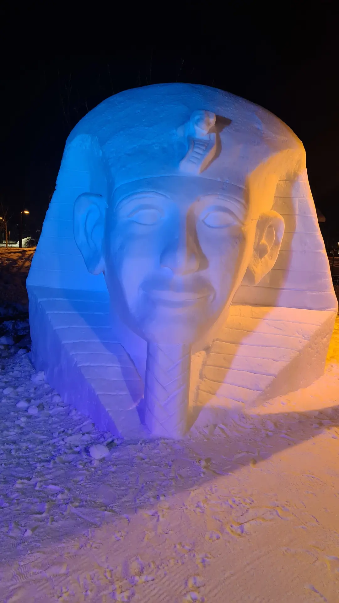 Sculptures sur glace