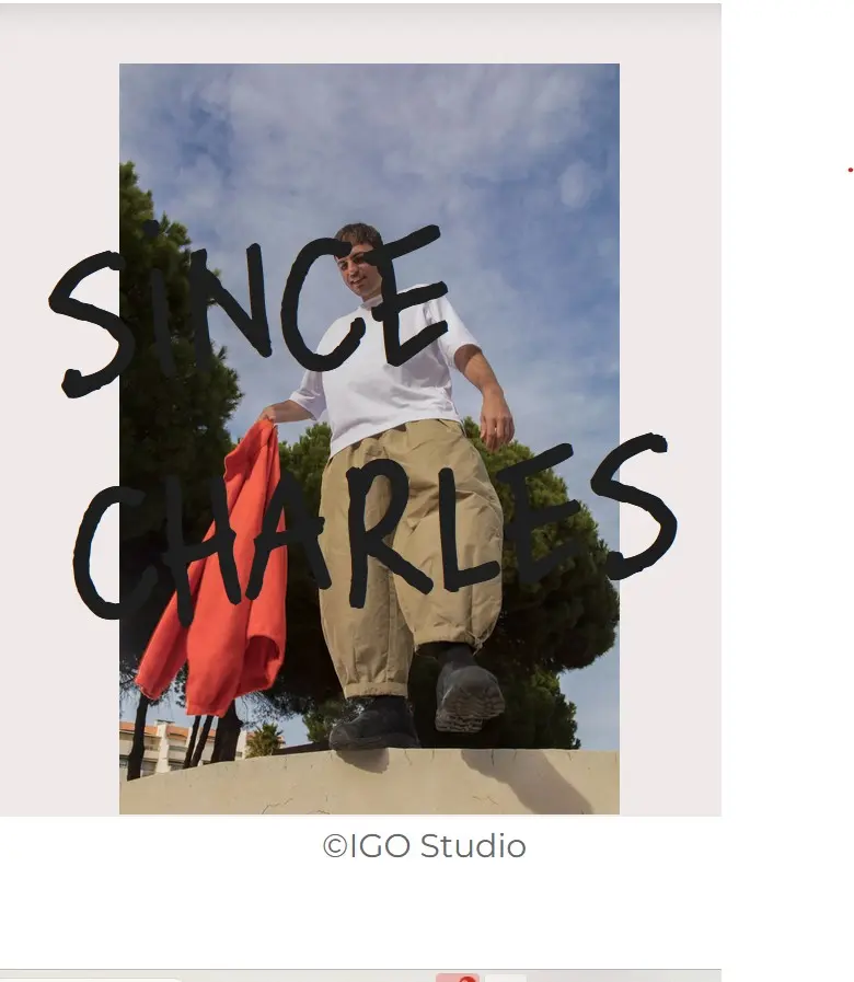 Concert de Since Charles et Sébastien Tellier