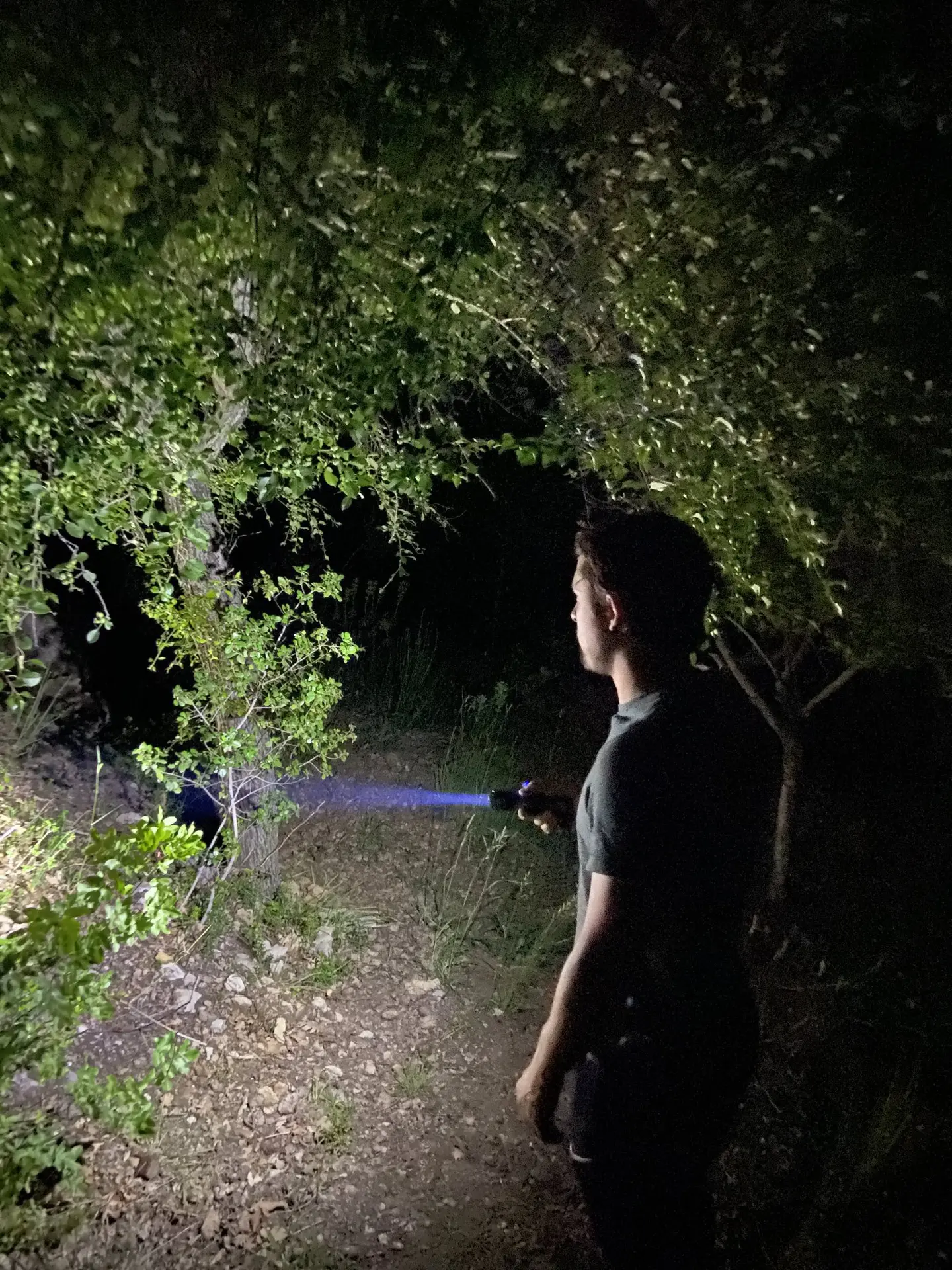 Balade nocturne Promenons-nous dans les bois Pierrefeu du Var