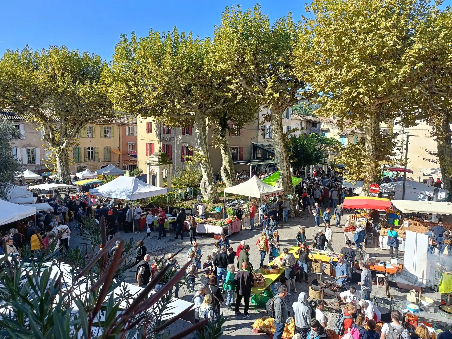 Fête de la Châtaigne