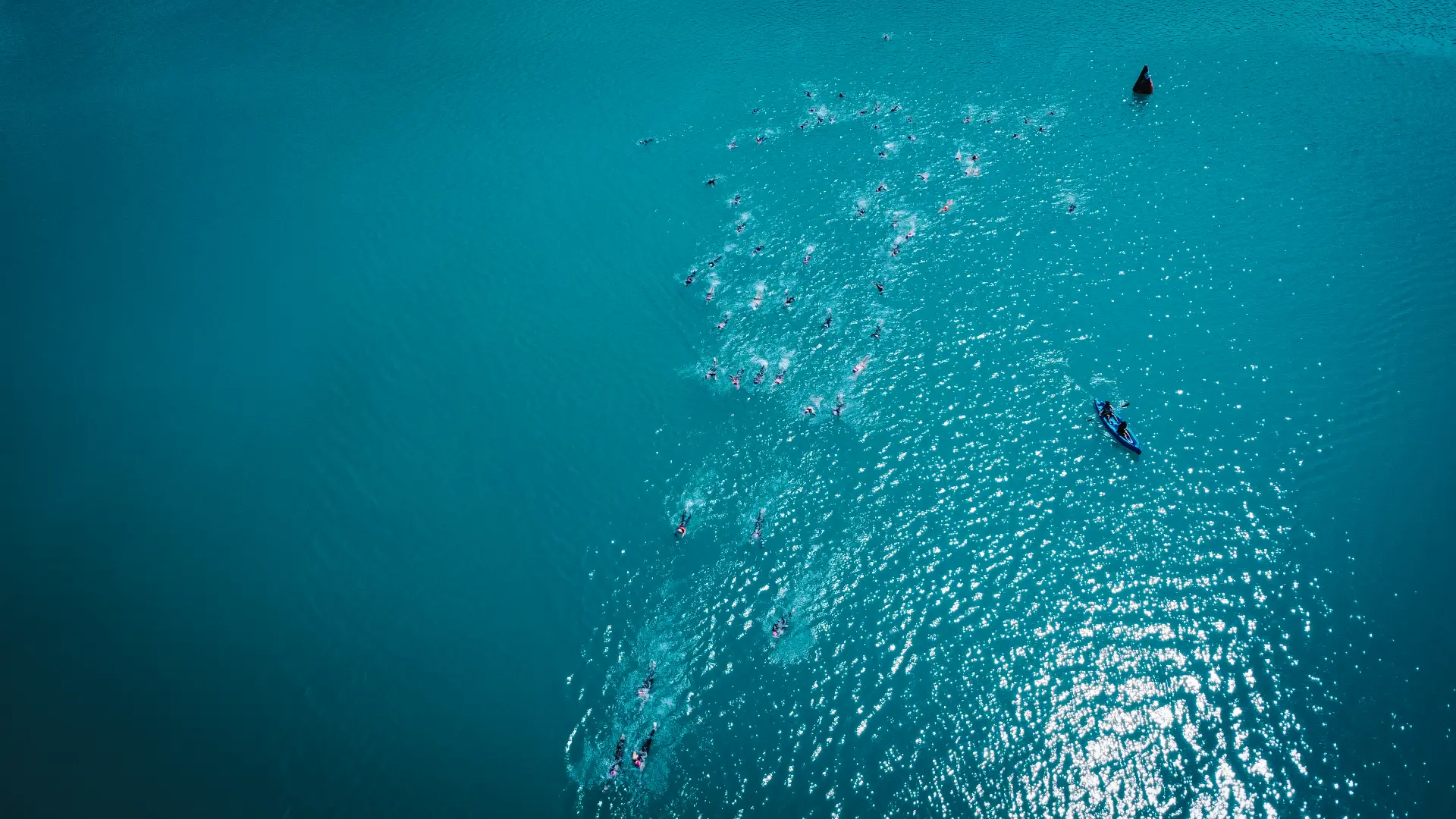 Verdon Swim Experience