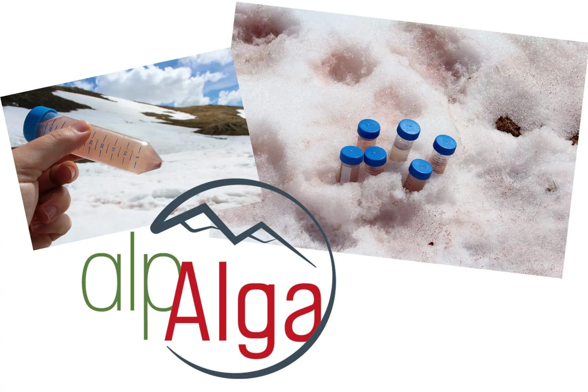 Atelier scientifique