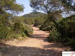 Randonnée au Pradet  La Colle Noire