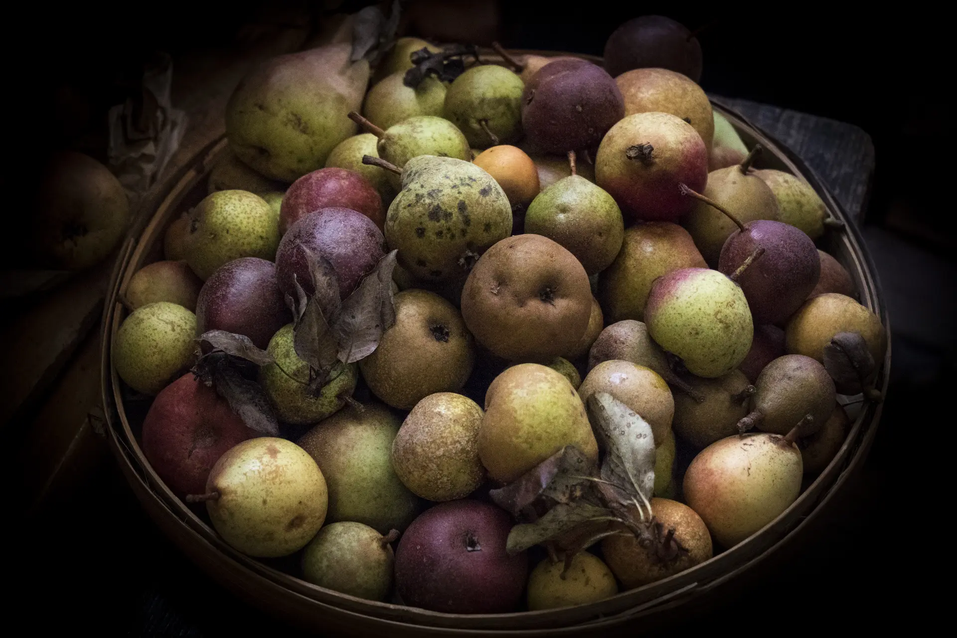 Exposition de variété anciennes de fruits