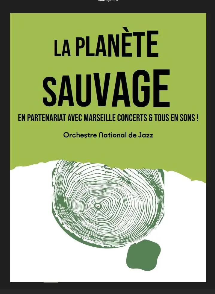 Concert La Planète sauvage