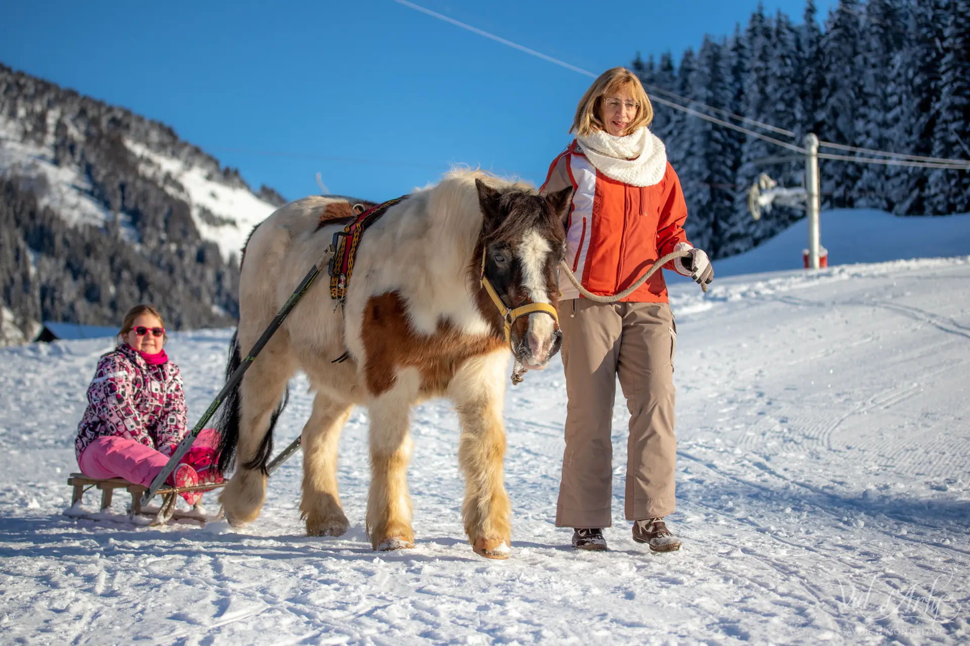 Poney Luge à Notre Dame de Bellecombe