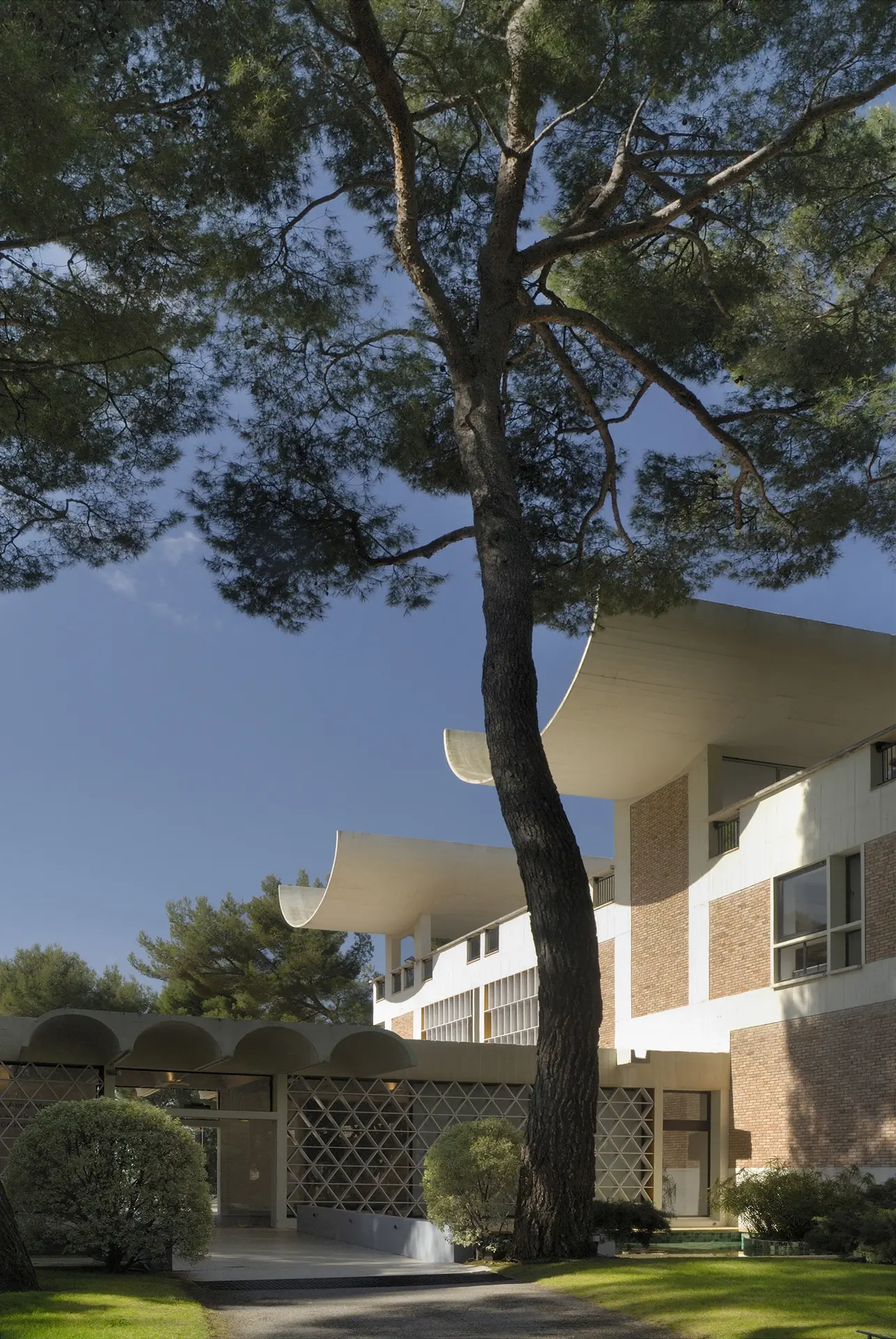 Les jardins de la Fondation Maeght à Saint-Paul de Vence. Photo : Jean-Jacques L’Héritier © Archives Fondation Maeght.