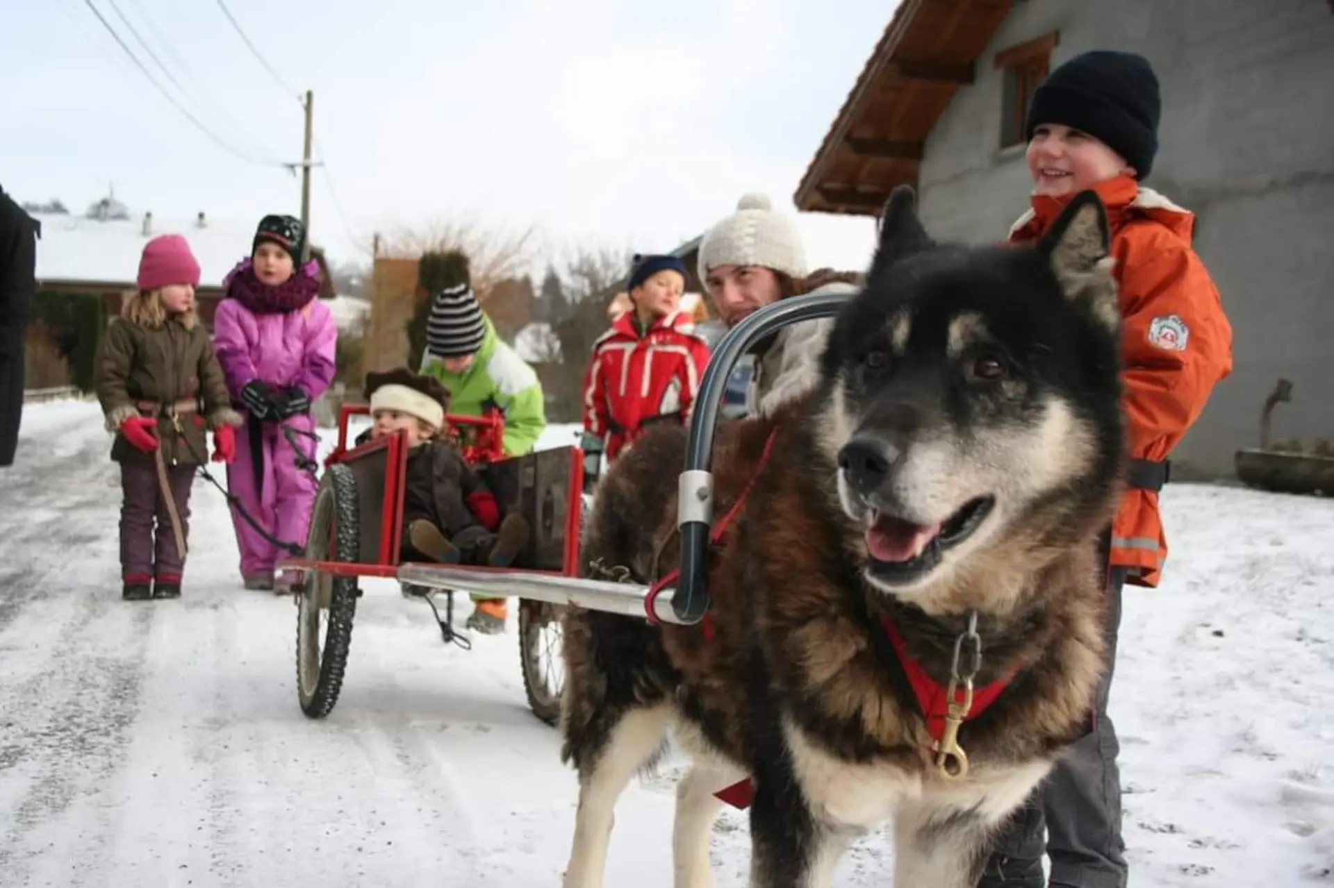 Chiens de traîneaux, Père Noël et Papillotes_Vailly