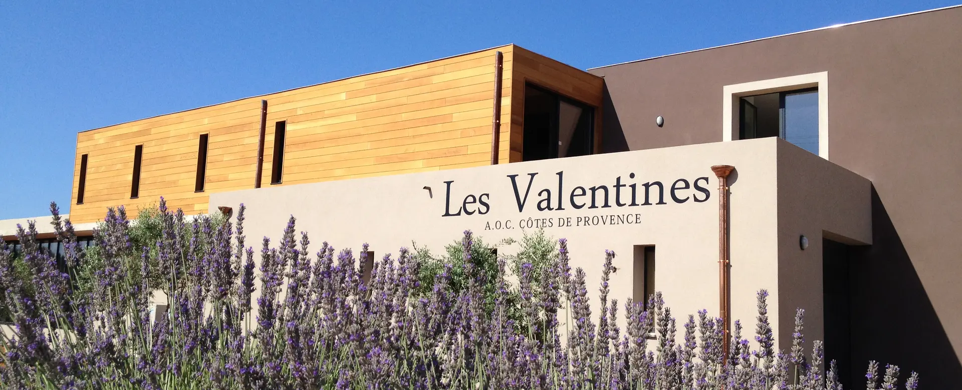 La vie en rosé au Château Les Valentines