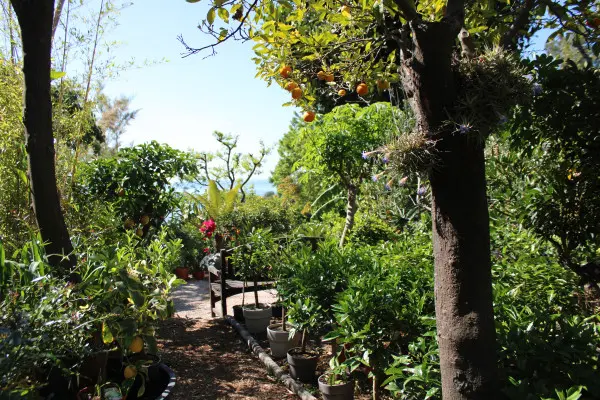 Visite guidée et dégustation au Domaine
