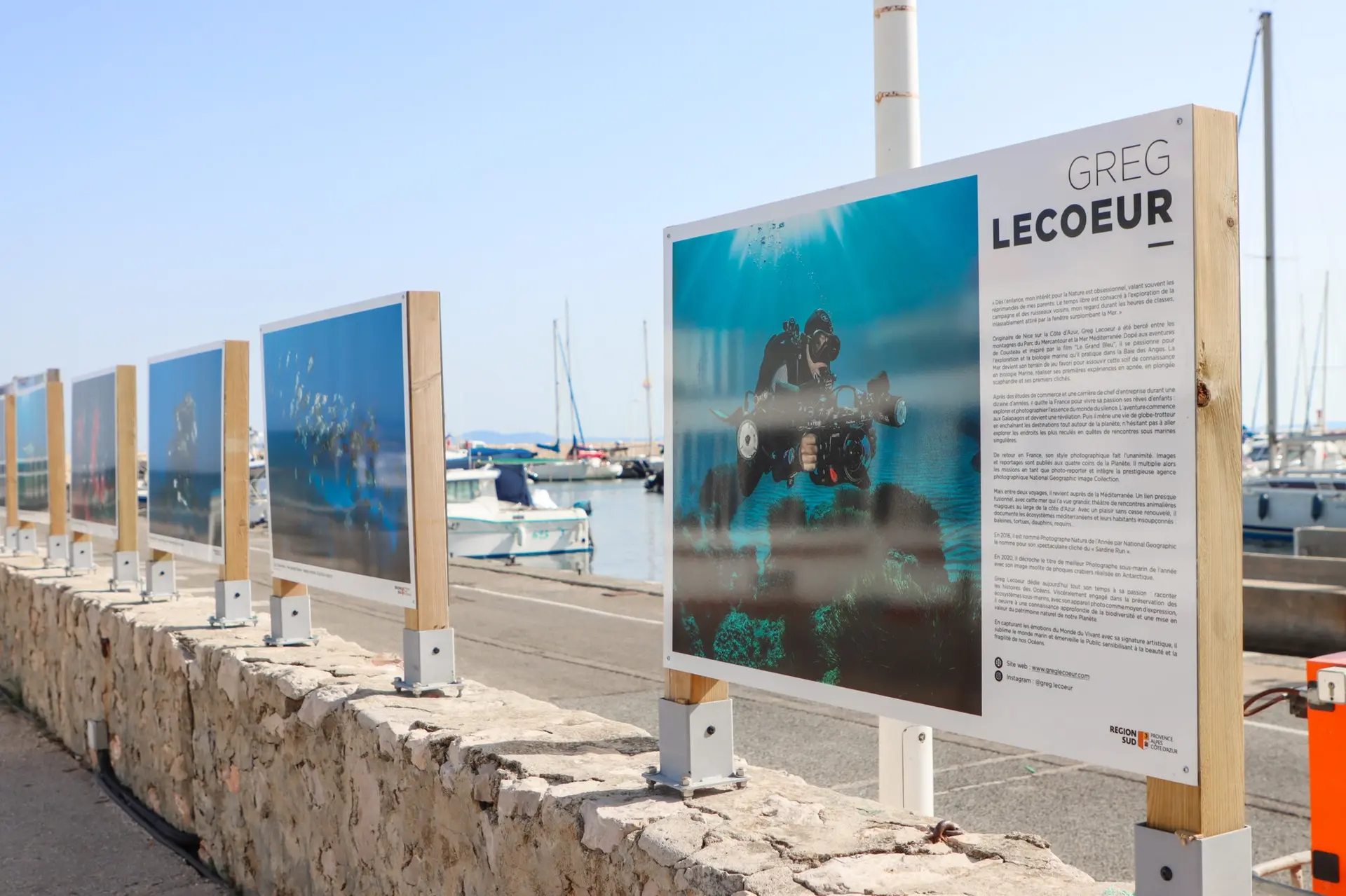 Le monde sous-marin en photos -Greg Lecoeur à La Londe-les-Maures