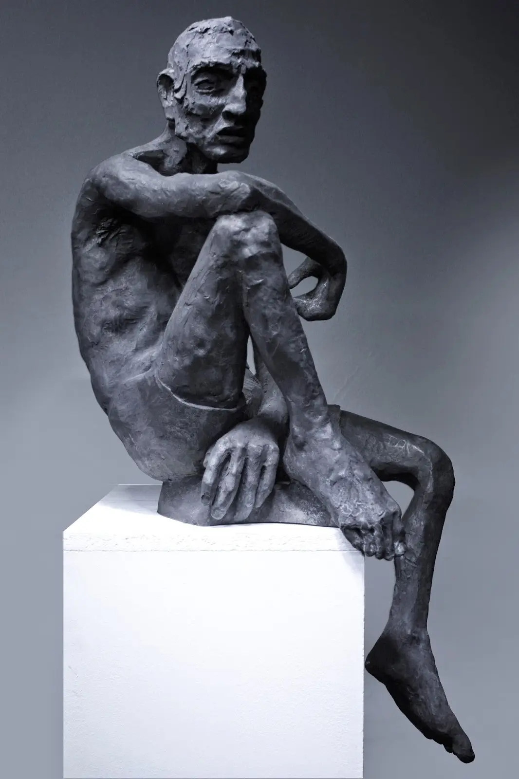 LA JETEE Sébastien Alibert TEC