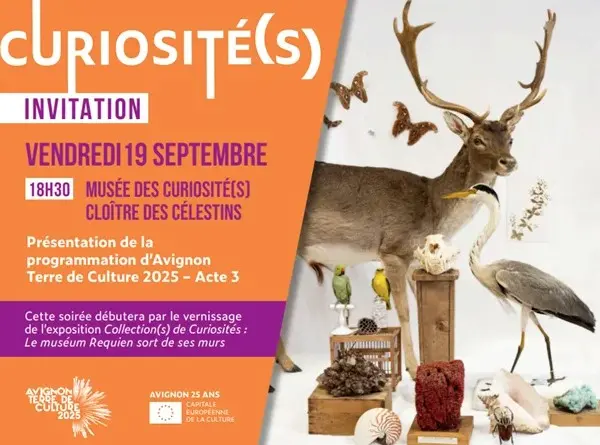 Présentation de l’ACTE 3 d’Avignon Terre de Culture 2025_Avignon