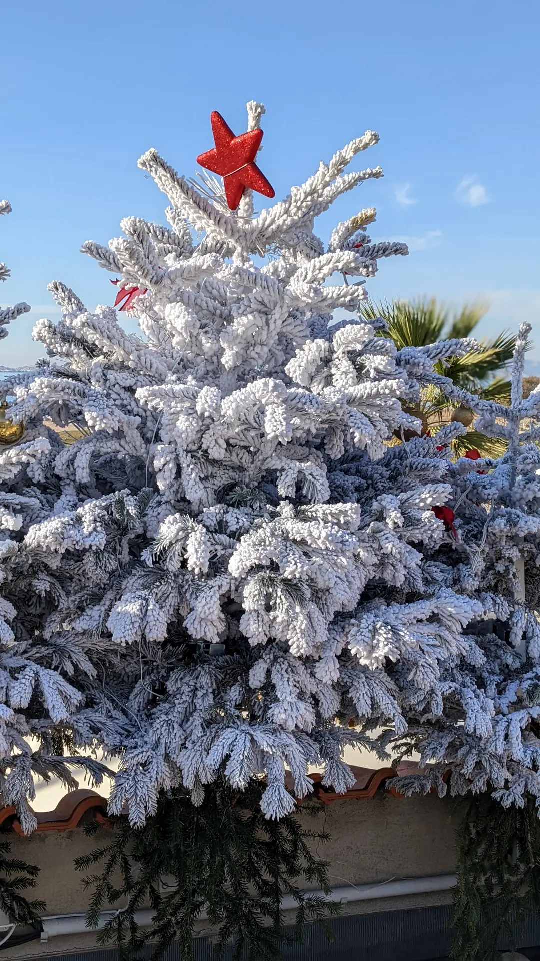 sapin de noel avec une étoile rouge