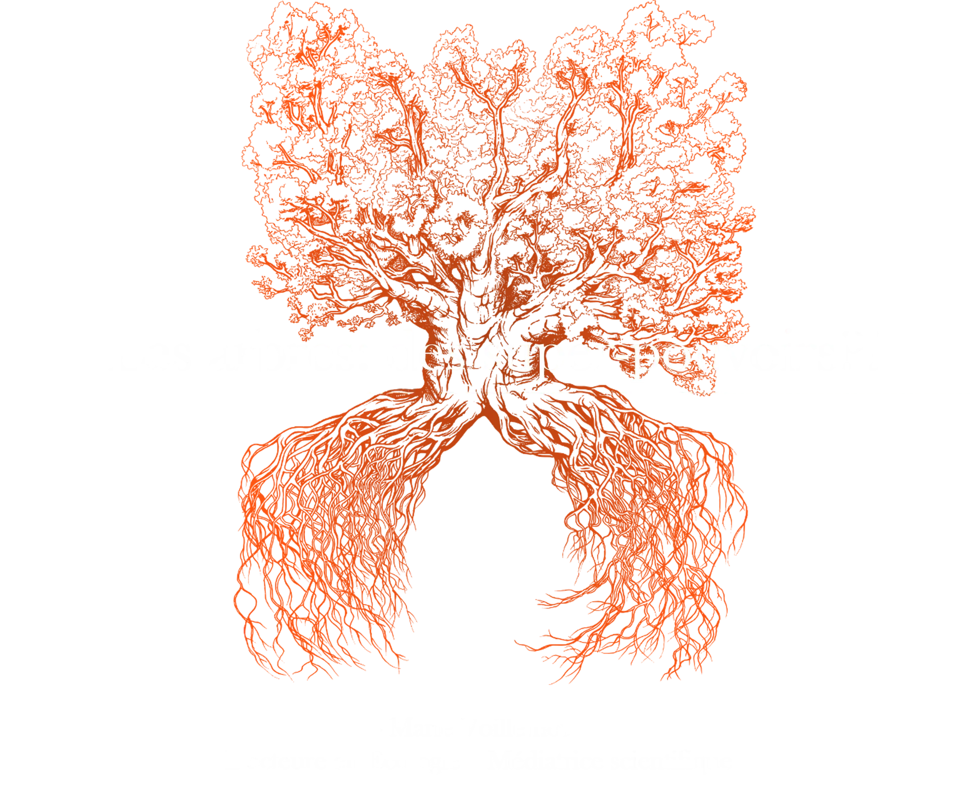 Conférence : Arbres, des super-pouvoirs?!_Les Orres