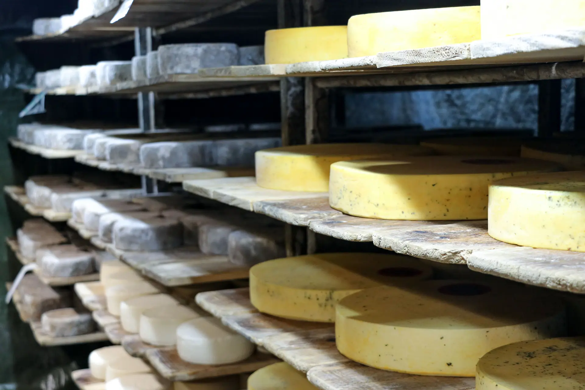 Rencontre à la ferme : visite guidée_Val-d'Isère