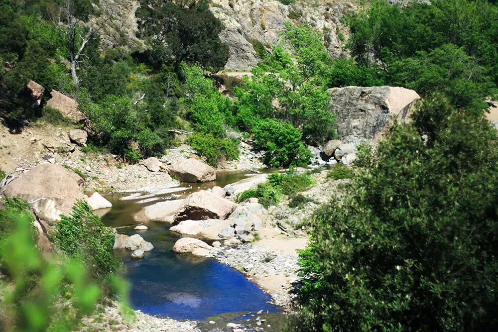 Barrage de Malpasset
