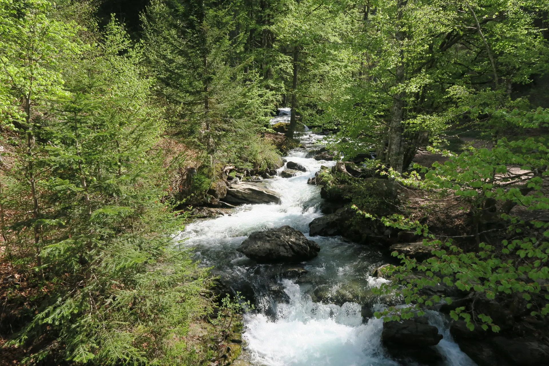 Rivière en amont de la cascade d'Ardent