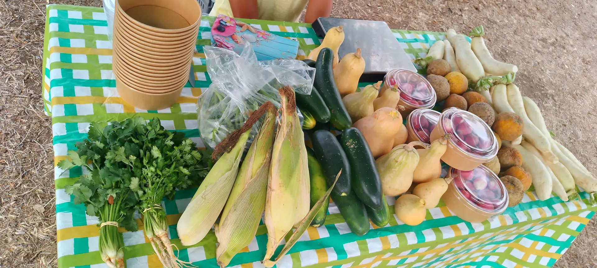 Marché de Proximité_Bourail