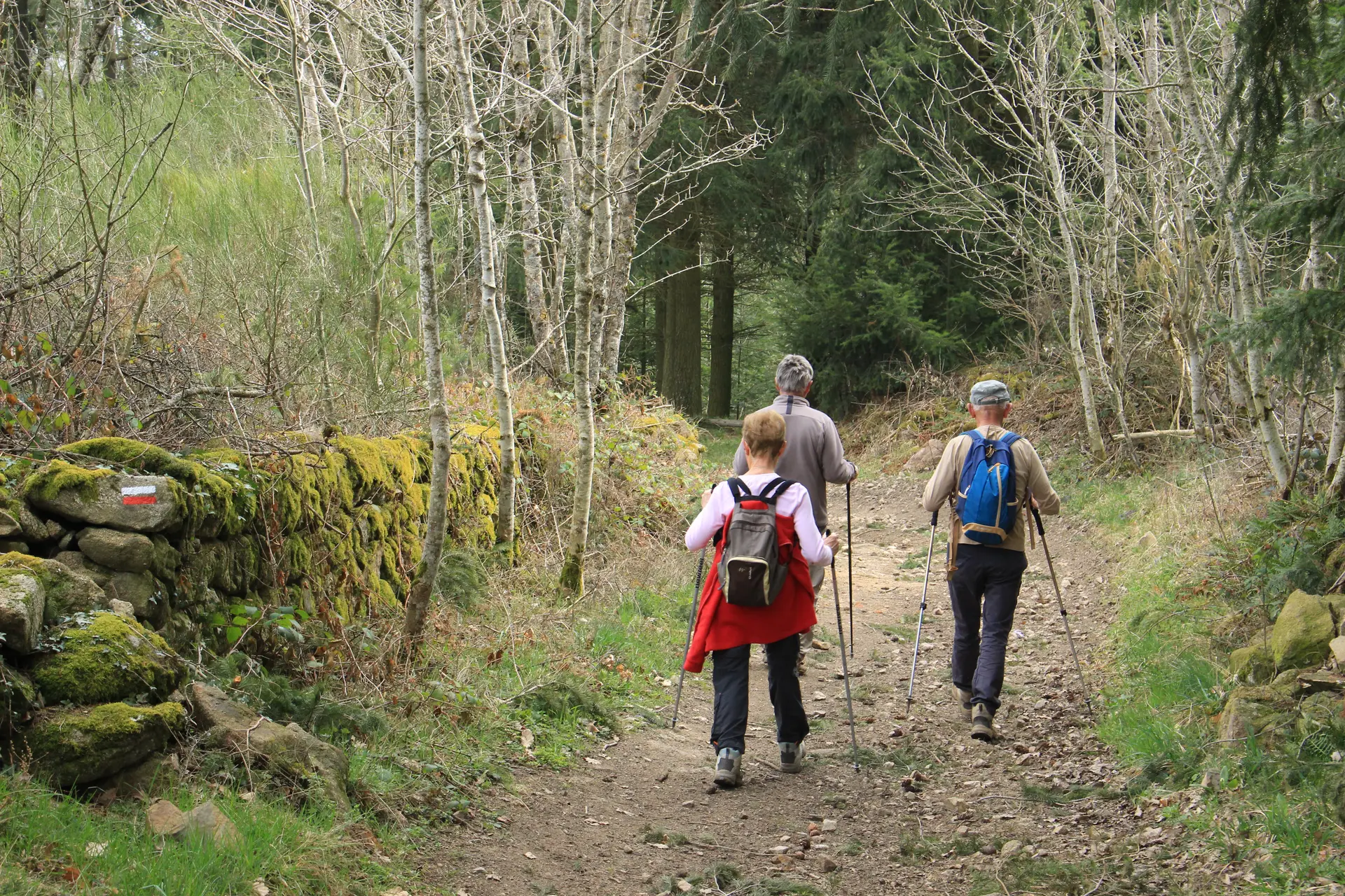 Saint Hilaire Cusson la Valmitte