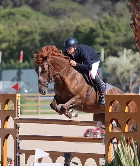 Concours de sauts international