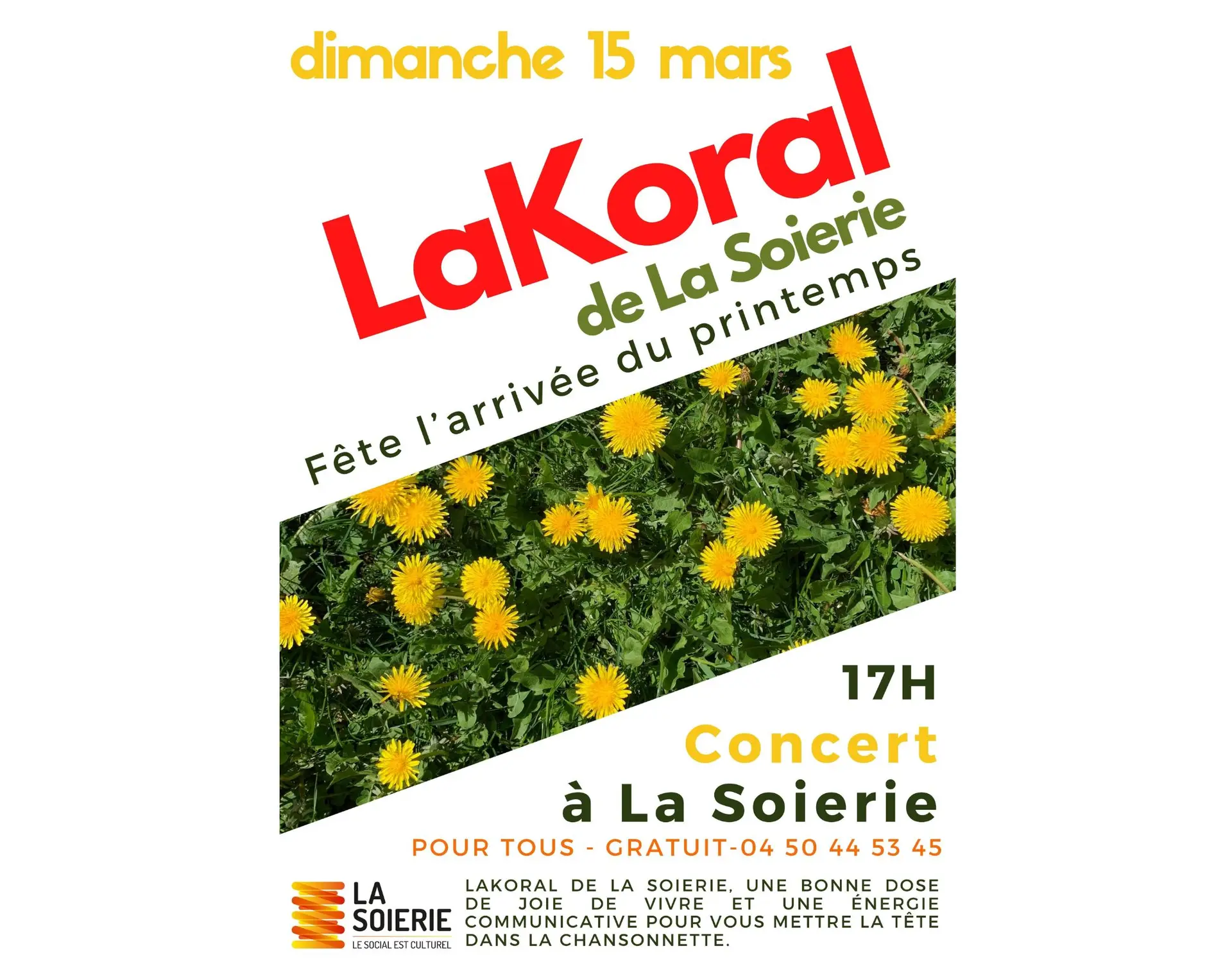 affiche avec photo de pissenlits