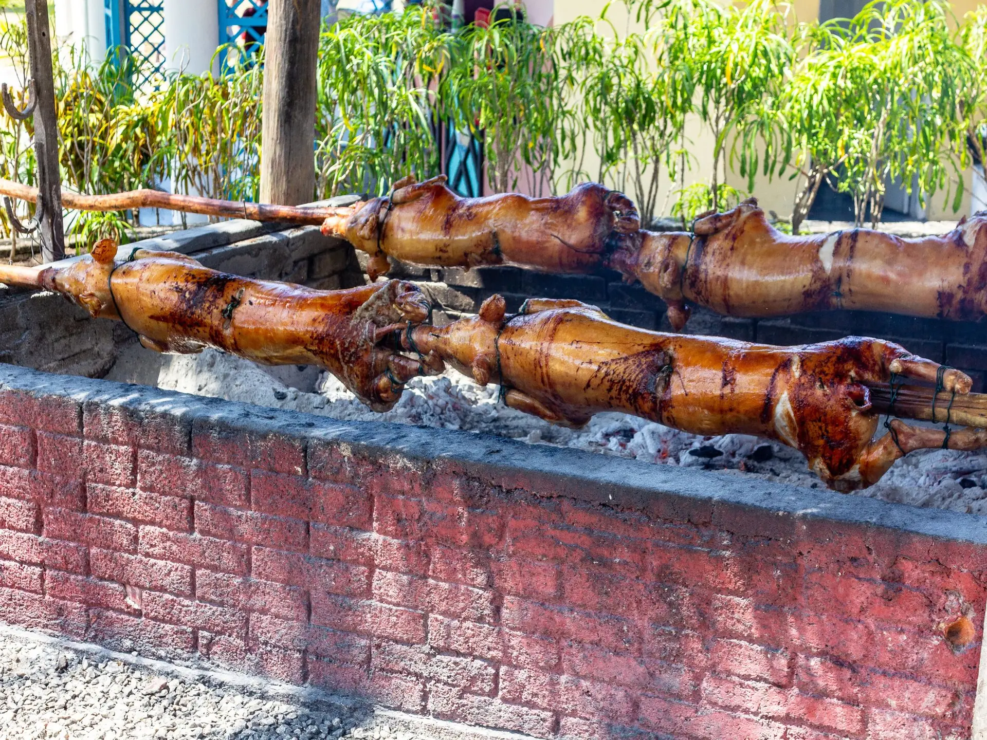 Repas Mechouï_Évenos