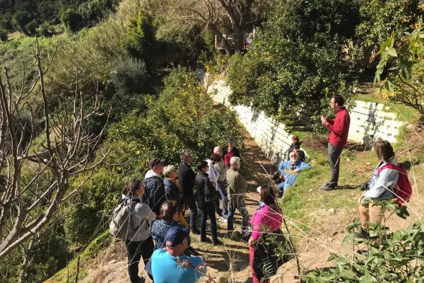 Visite guidée et dégustation au Domaine