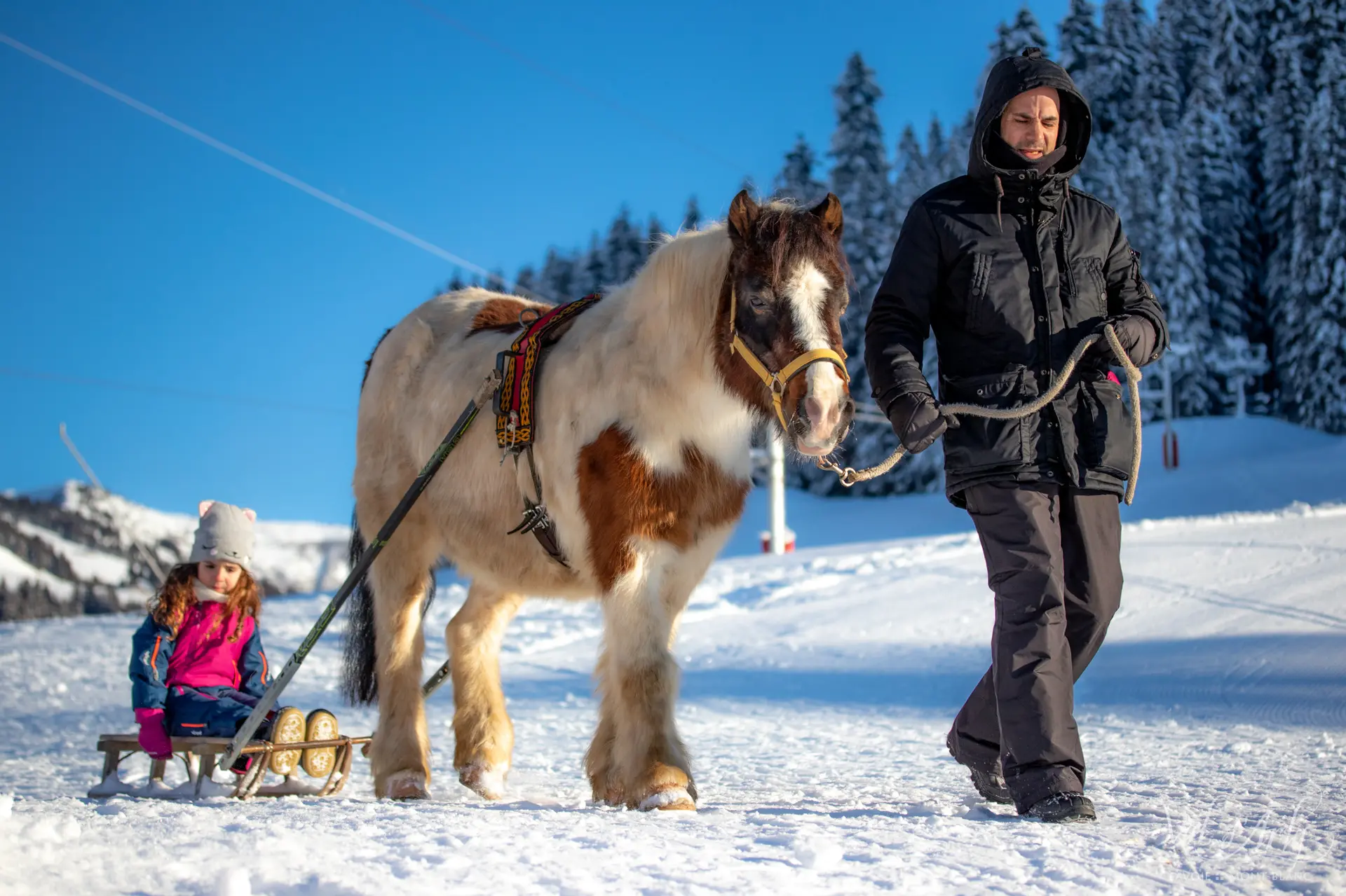 Poney Luge à Notre Dame de Bellecombe