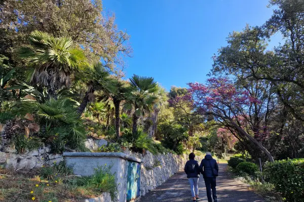 Malmousque, et petits ports de la Corniche