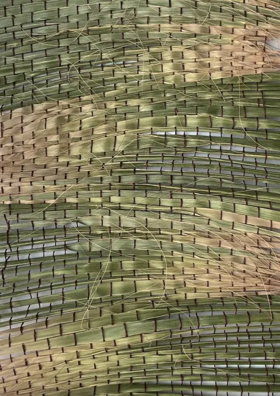 fibre naturelle tressée