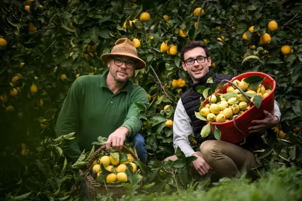 Lemon Garden Guided Tour