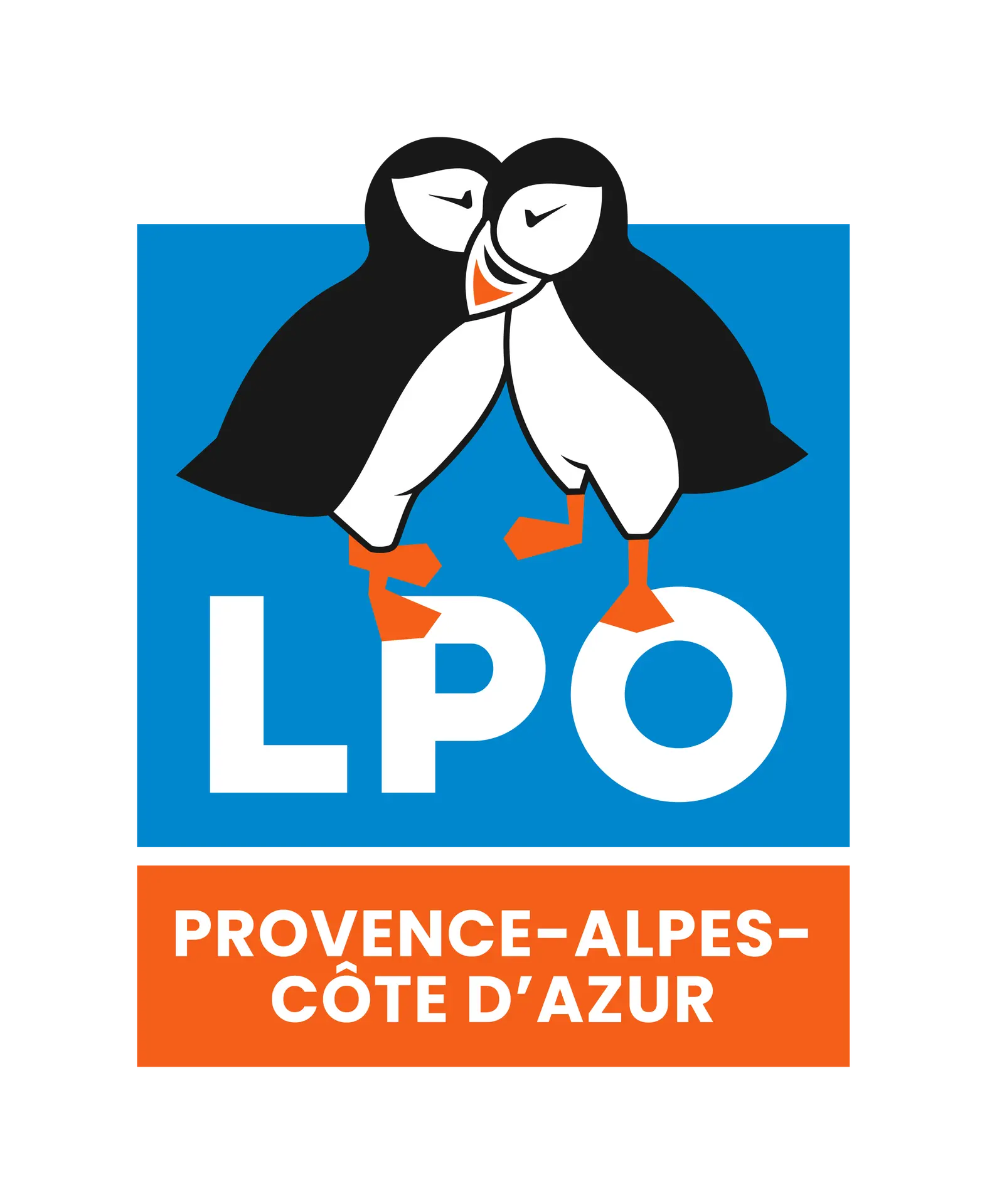 LPO - Sortie sur les oiseaux des villes